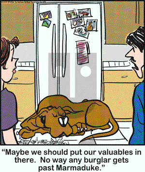 Marmaduke on Tuesday November 26, 2019 Comic Strip
