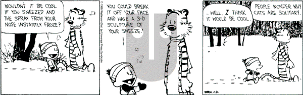 Calvin and Hobbes - Friday February 24, 1995 Comic Strip