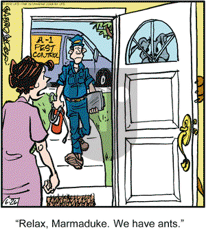 Marmaduke on Tuesday June 26, 2012 Comic Strip