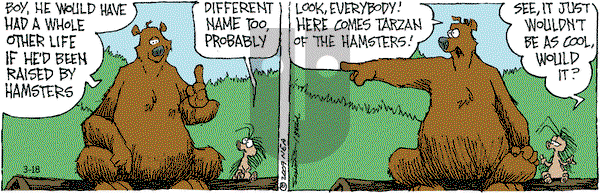 The Grizzwells on Wednesday March 18, 2009 Comic Strip