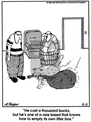 Close to Home on Monday March 20, 1995 Comic Strip