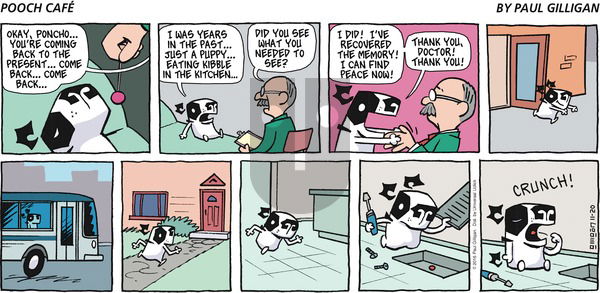 Pooch Cafe - Sunday November 20, 2016 Comic Strip
