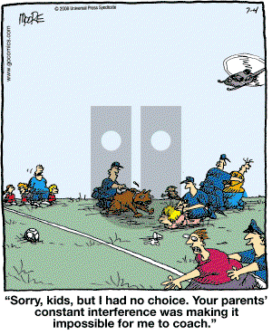 In the Bleachers - Friday July 4, 2008 Comic Strip