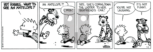 Calvin and Hobbes on Thursday July 2, 1987 Comic Strip
