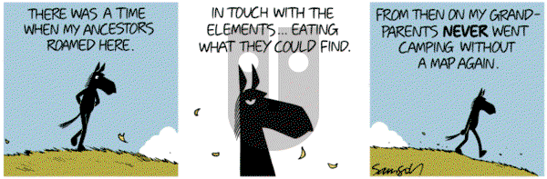 Dark Side of the Horse on Sunday June 14, 2015 Comic Strip