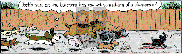 Fred Basset on Wednesday January 13, 2016 Comic Strip