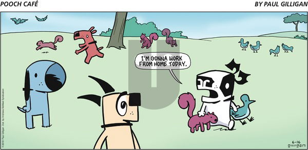 Pooch Cafe on Sunday June 16, 2019 Comic Strip