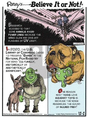 Ripley's Believe It or Not - Friday December 2, 2022 Comic Strip