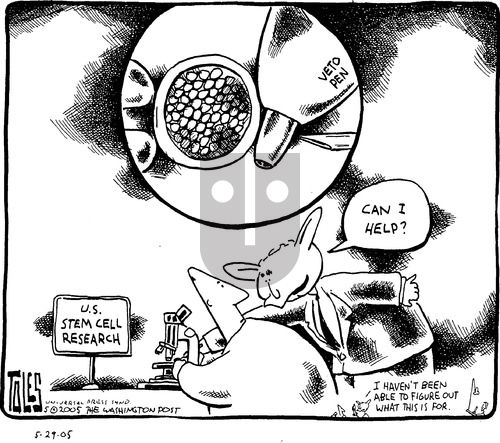 Tom Toles on Sunday May 29, 2005 Comic Strip