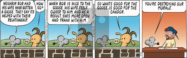 Pearls Before Swine on Monday July 13, 2015 Comic Strip