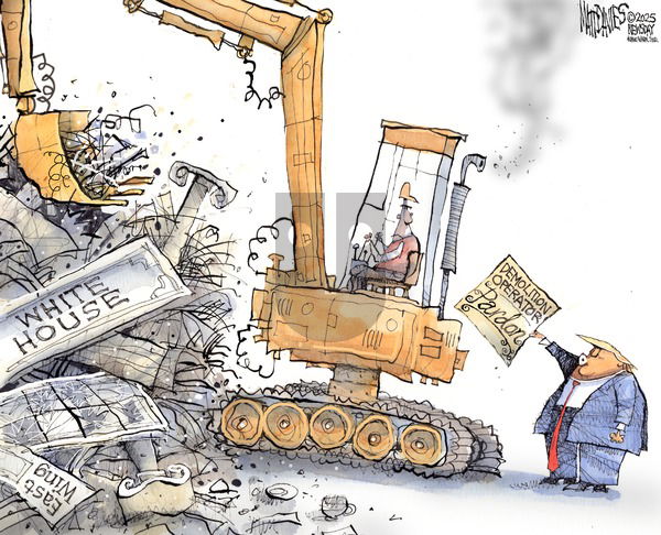 Matt Davies on Sunday October 26, 2025 Comic Strip