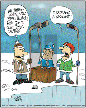 The Flying McCoys on Saturday January 28, 2017 Comic Strip