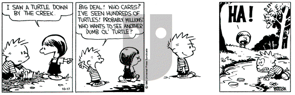 Calvin and Hobbes on Thursday October 17, 1991 Comic Strip