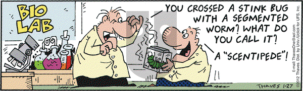 Frank and Ernest on Friday January 27, 2012 Comic Strip