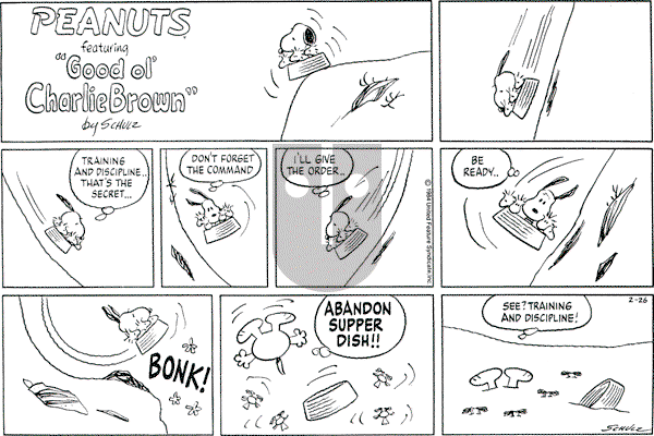 Peanuts - Sunday February 26, 1984 Comic Strip
