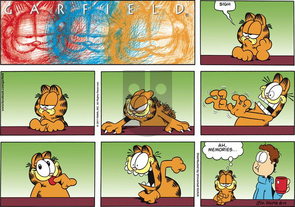 Garfield on Sunday August 14, 2011 Comic Strip