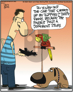 The Flying McCoys on Thursday May 14, 2020 Comic Strip