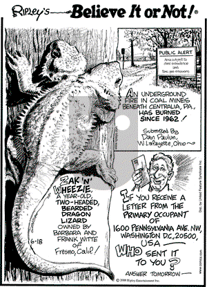 Ripley's Believe It or Not on Wednesday June 18, 2008 Comic Strip