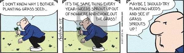 The Born Loser on Thursday May 5, 2011 Comic Strip