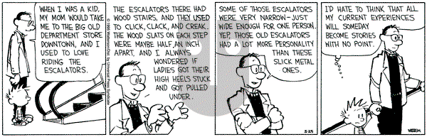 Calvin and Hobbes on Thursday May 25, 1995 Comic Strip