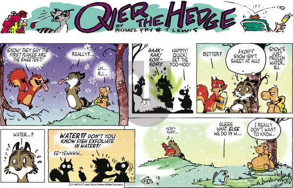 Over the Hedge on Sunday December 9, 2018 Comic Strip