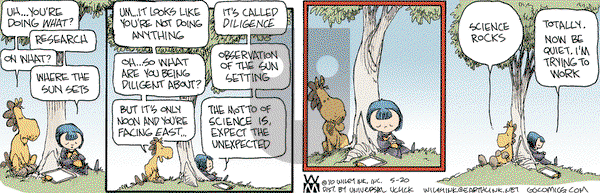Non Sequitur - Thursday May 20, 2010 Comic Strip