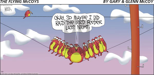 The Flying McCoys on Sunday July 21, 2019 Comic Strip