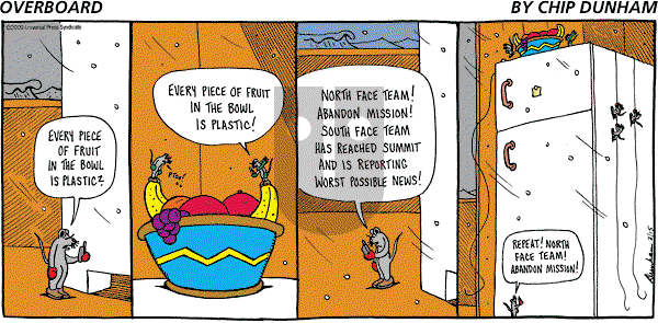 Overboard - Sunday February 15, 2009 Comic Strip