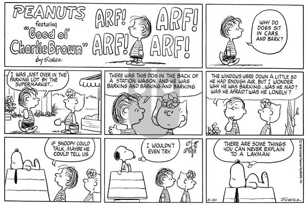 Peanuts on Sunday August 20, 1978 Comic Strip