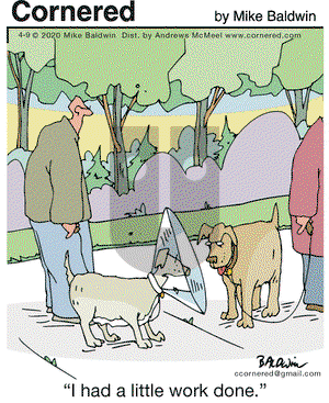 Cornered - Thursday April 9, 2020 Comic Strip