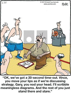 In the Bleachers on Friday February 23, 2001 Comic Strip