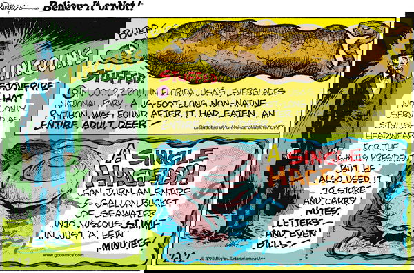 Ripley's Believe It or Not - Sunday February 12, 2012 Comic Strip