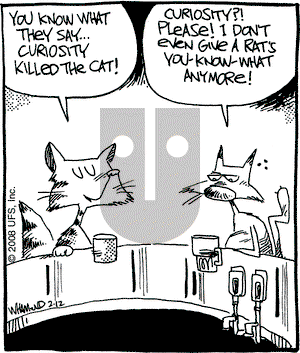 Reality Check - Tuesday February 12, 2008 Comic Strip