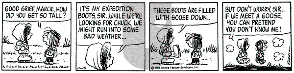 Peanuts - Monday November 10, 1980 Comic Strip