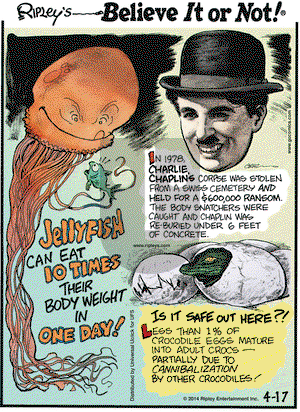 Ripley's Believe It or Not on Thursday April 17, 2014 Comic Strip