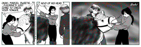 9 Chickweed Lane on Wednesday October 18, 2006 Comic Strip