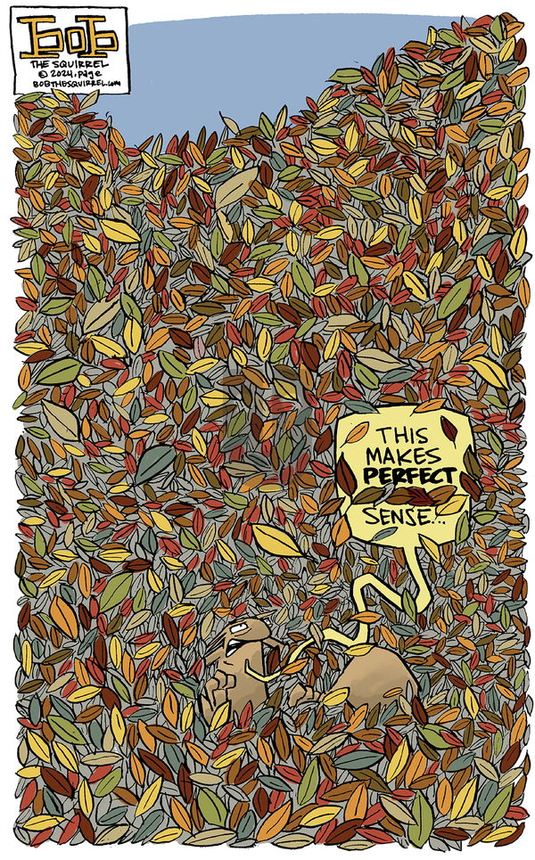 Bob the Squirrel - Sunday October 13, 2024 Comic Strip