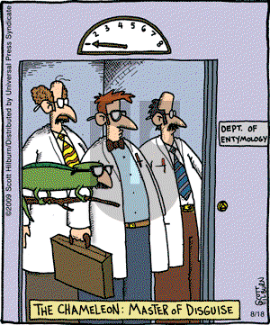 The Argyle Sweater on Tuesday August 18, 2009 Comic Strip