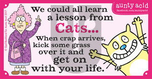 Aunty Acid on Tuesday November 21, 2017 Comic Strip