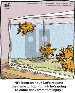 In the Bleachers on Wednesday November 28, 2012 Comic Strip