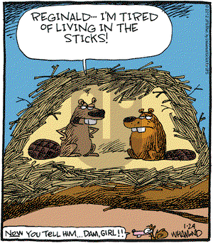 Reality Check on Tuesday January 24, 2012 Comic Strip