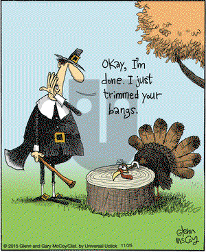 The Flying McCoys on Wednesday November 25, 2015 Comic Strip