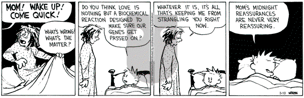 Calvin and Hobbes - Friday March 10, 2023 Comic Strip