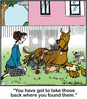 Marmaduke on Monday June 8, 2020 Comic Strip