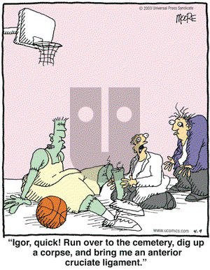 In the Bleachers on Wednesday April 9, 2003 Comic Strip