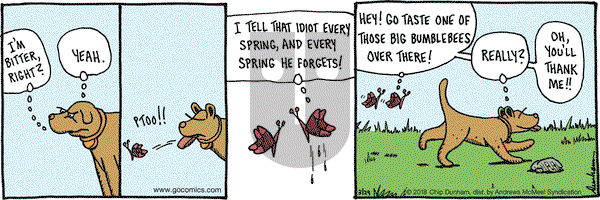 Overboard on Thursday March 29, 2018 Comic Strip