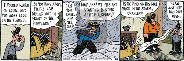 Overboard on Wednesday February 6, 2013 Comic Strip