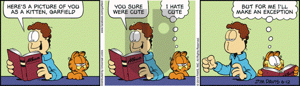 Garfield on Wednesday June 12, 2013 Comic Strip