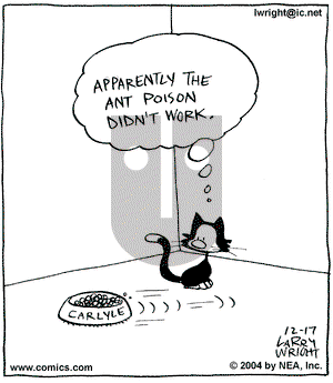 Kit 'N' Carlyle on Tuesday February 22, 2005 Comic Strip