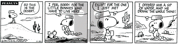 Peanuts on Saturday November 22, 1975 Comic Strip